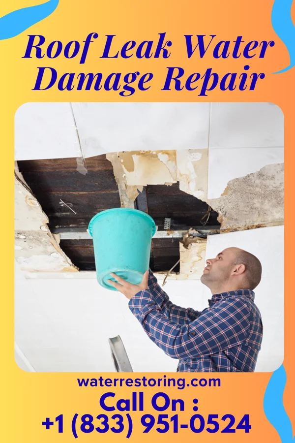 Roof Leak Water Damage Repair in Knox City, TX
